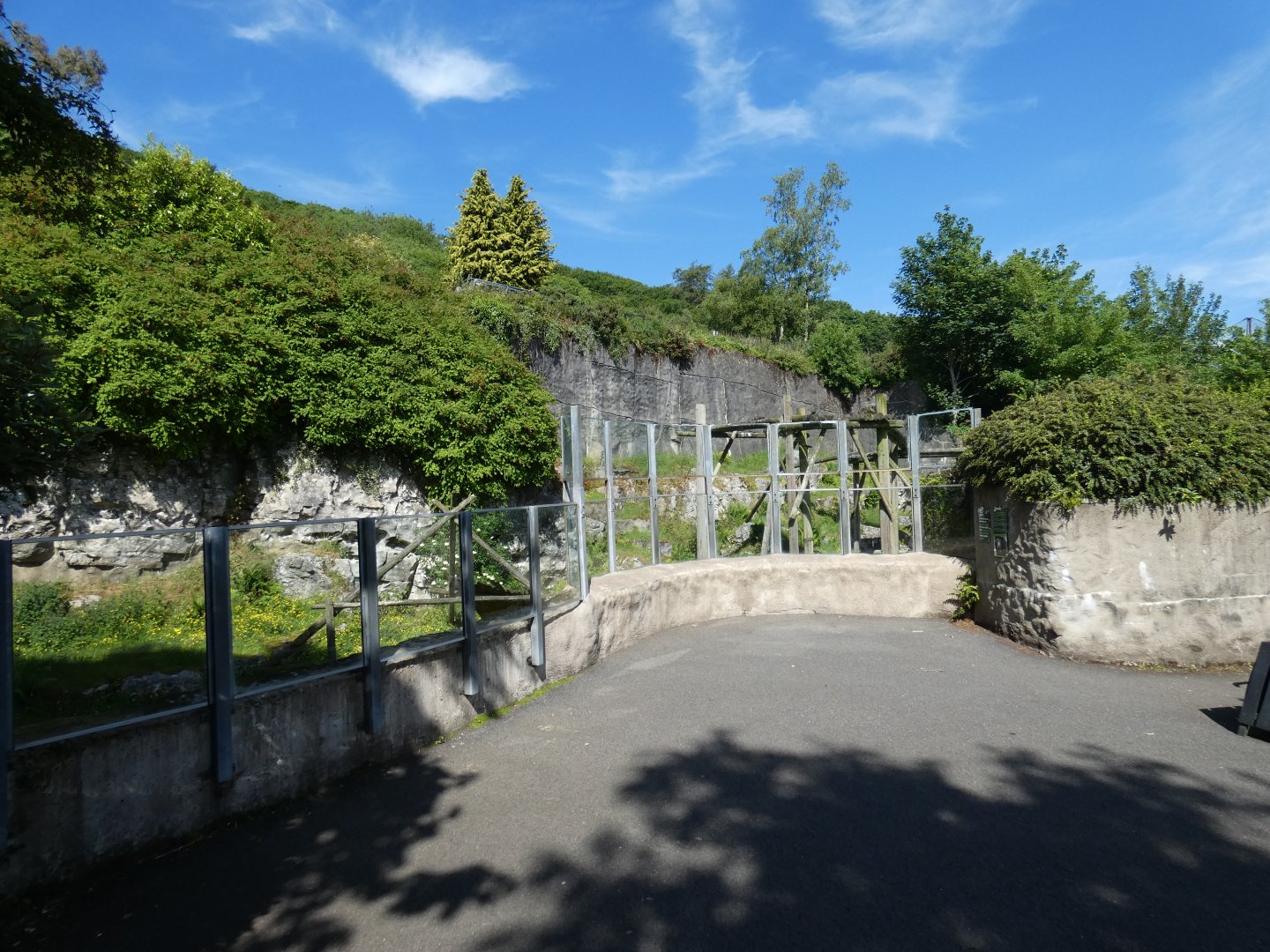Spectacled bear enclosure viewing area