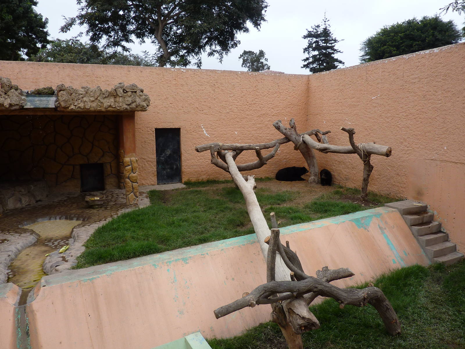 Spectacled Bear enclosure
