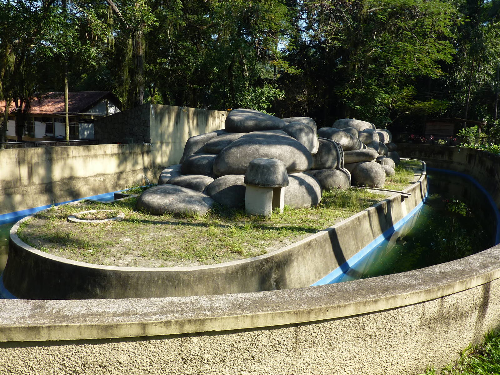 Spectacled bear enclosure