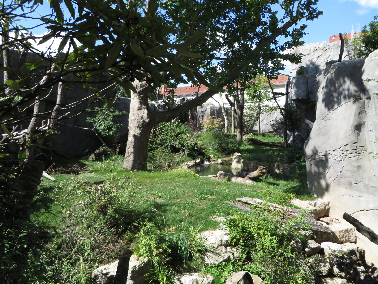 Spectacled bear enclosure