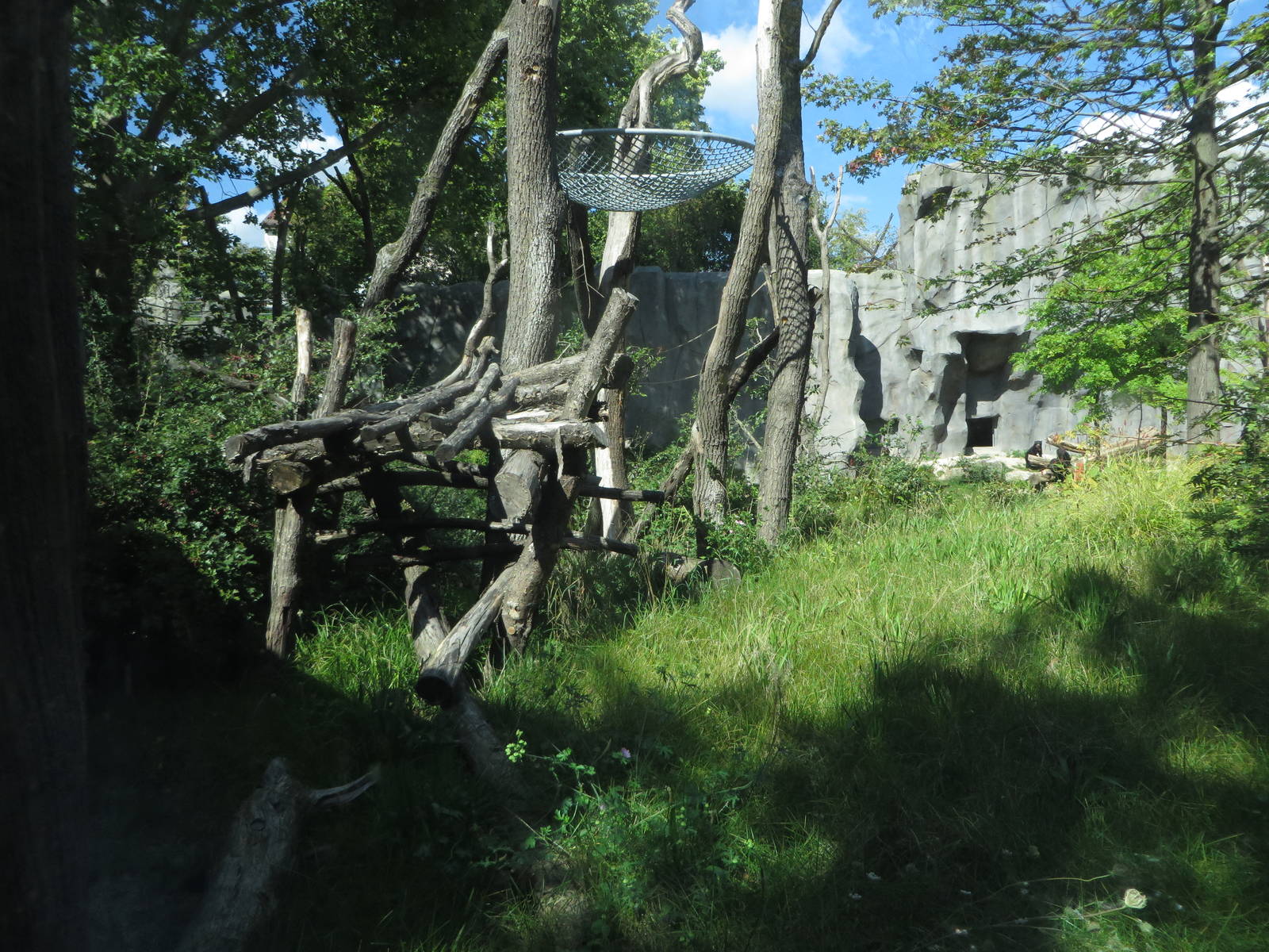 Spectacled bear enclosure