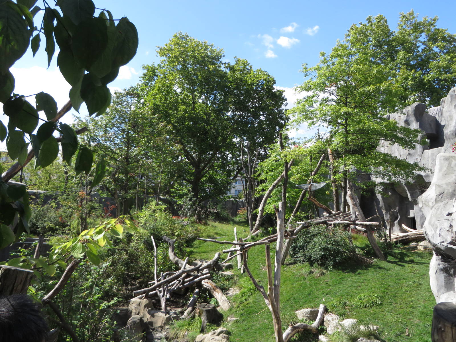 Spectacled bear enclosure