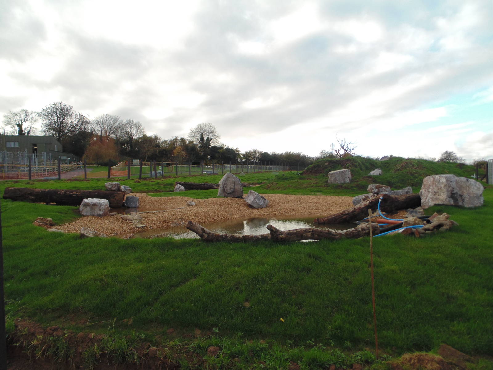 Spectacled Bear Enclosure