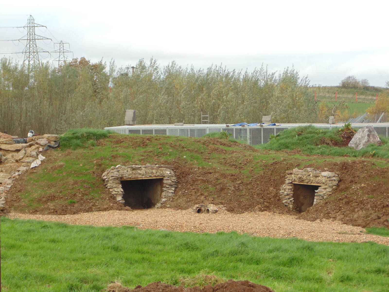 Spectacled Bear Enclosure