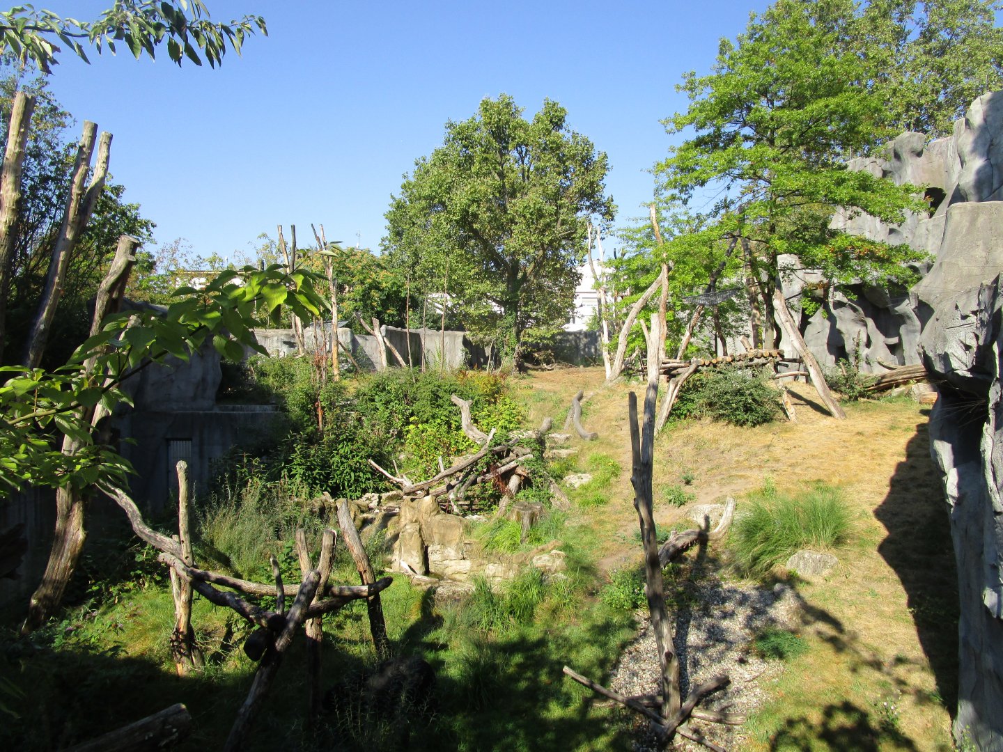 Spectacled Bear Enclosure