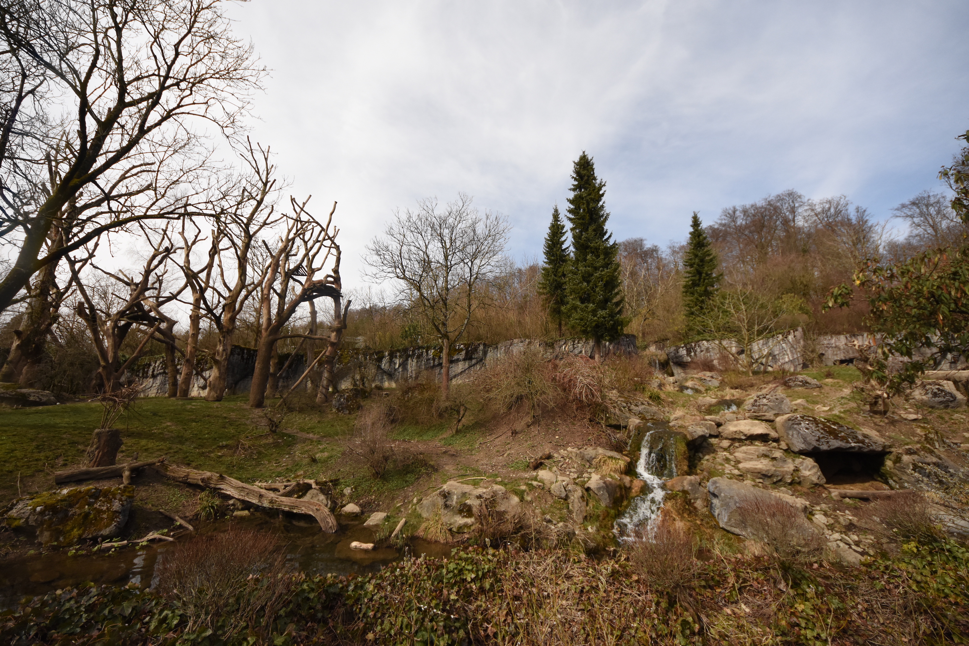 Spectacled bear enclosure