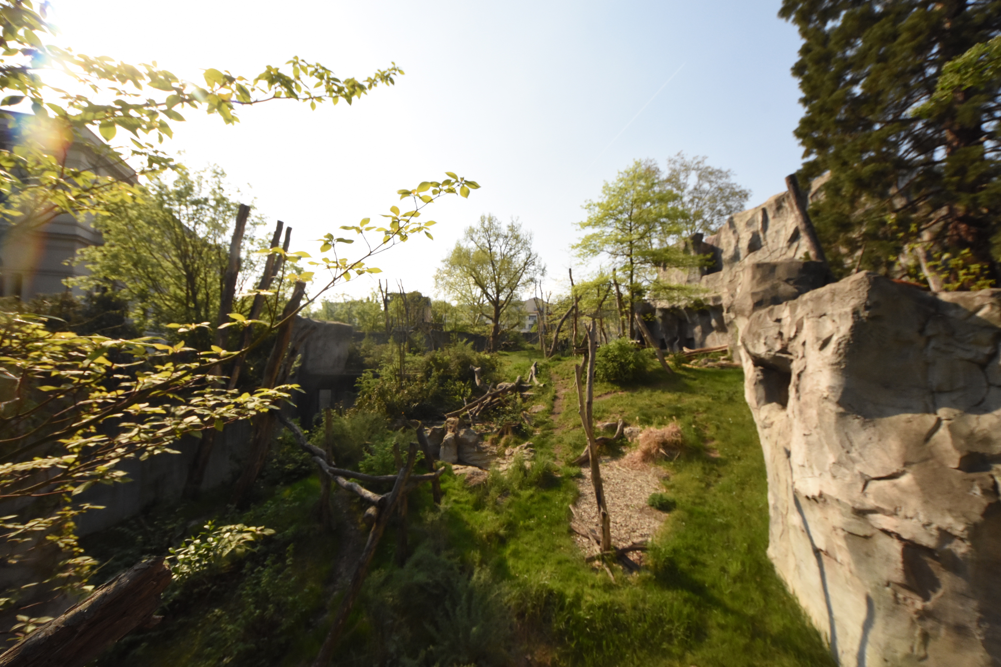 Spectacled bear enclosure