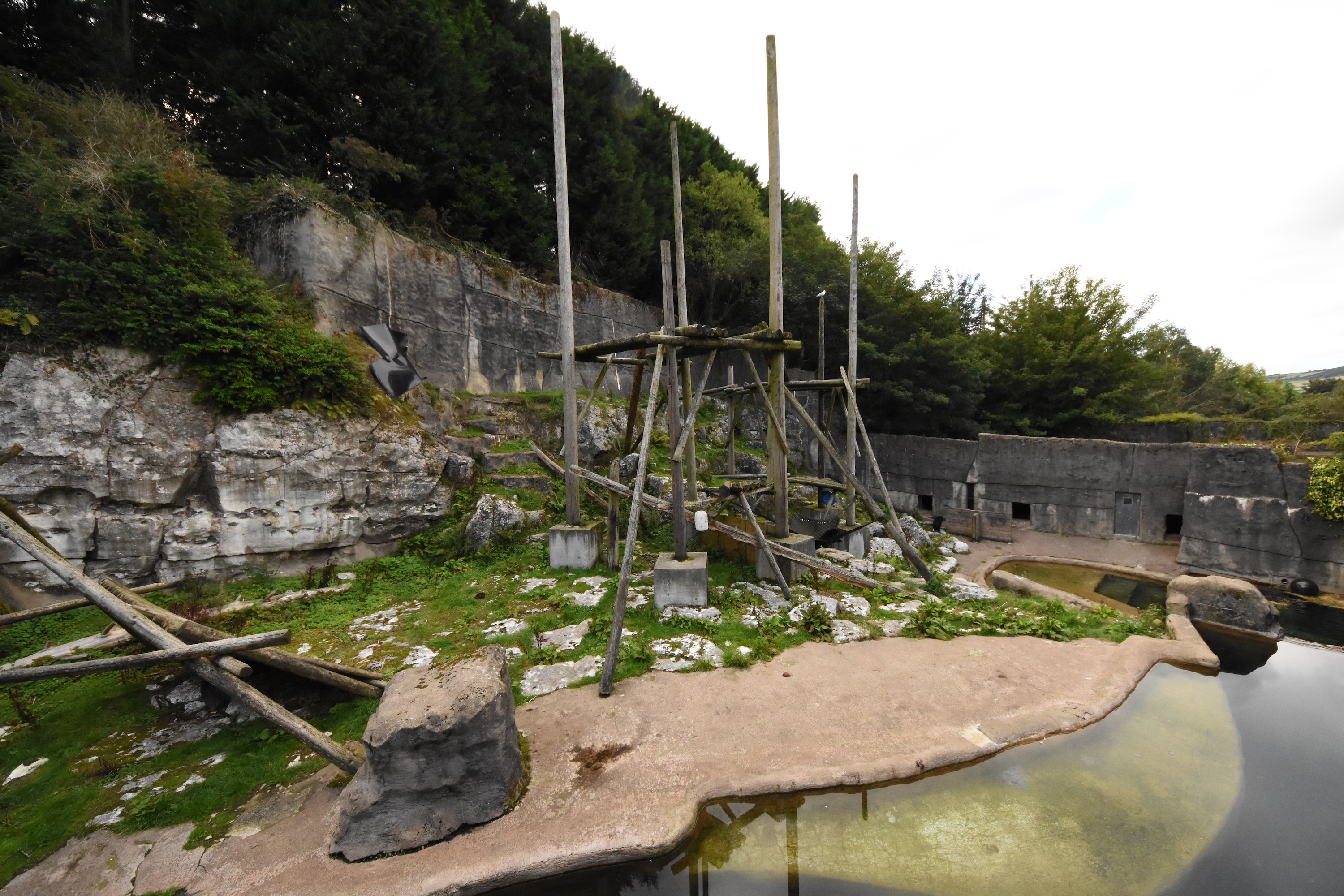 Spectacled bear enclosure