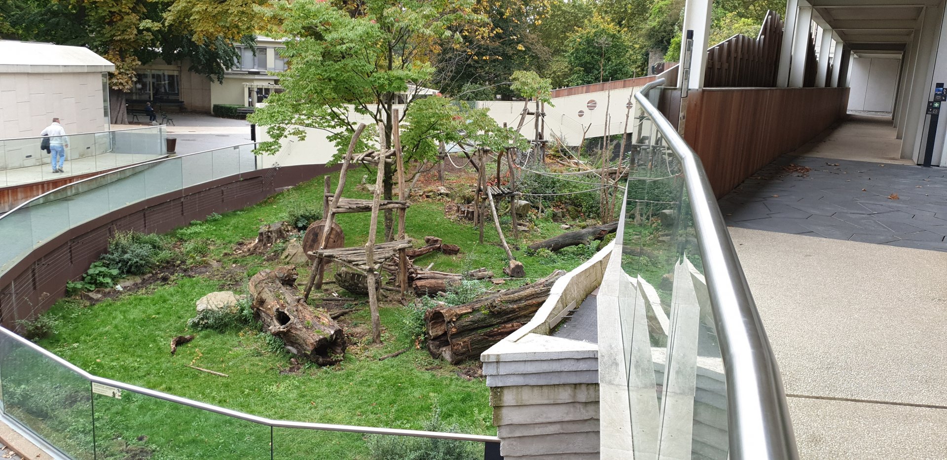 Spectacled bear enclosure