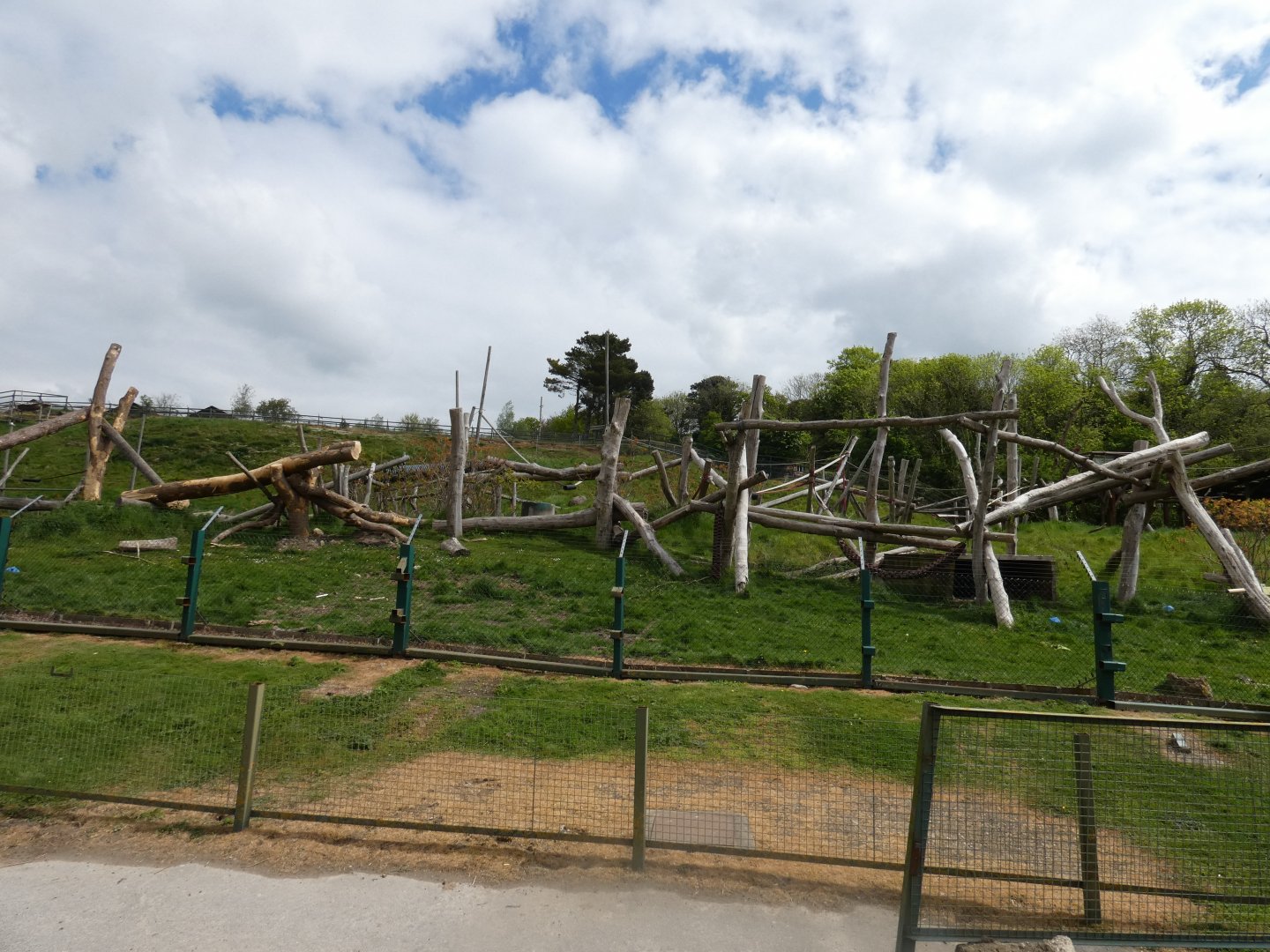 Spectacled bear enclosure