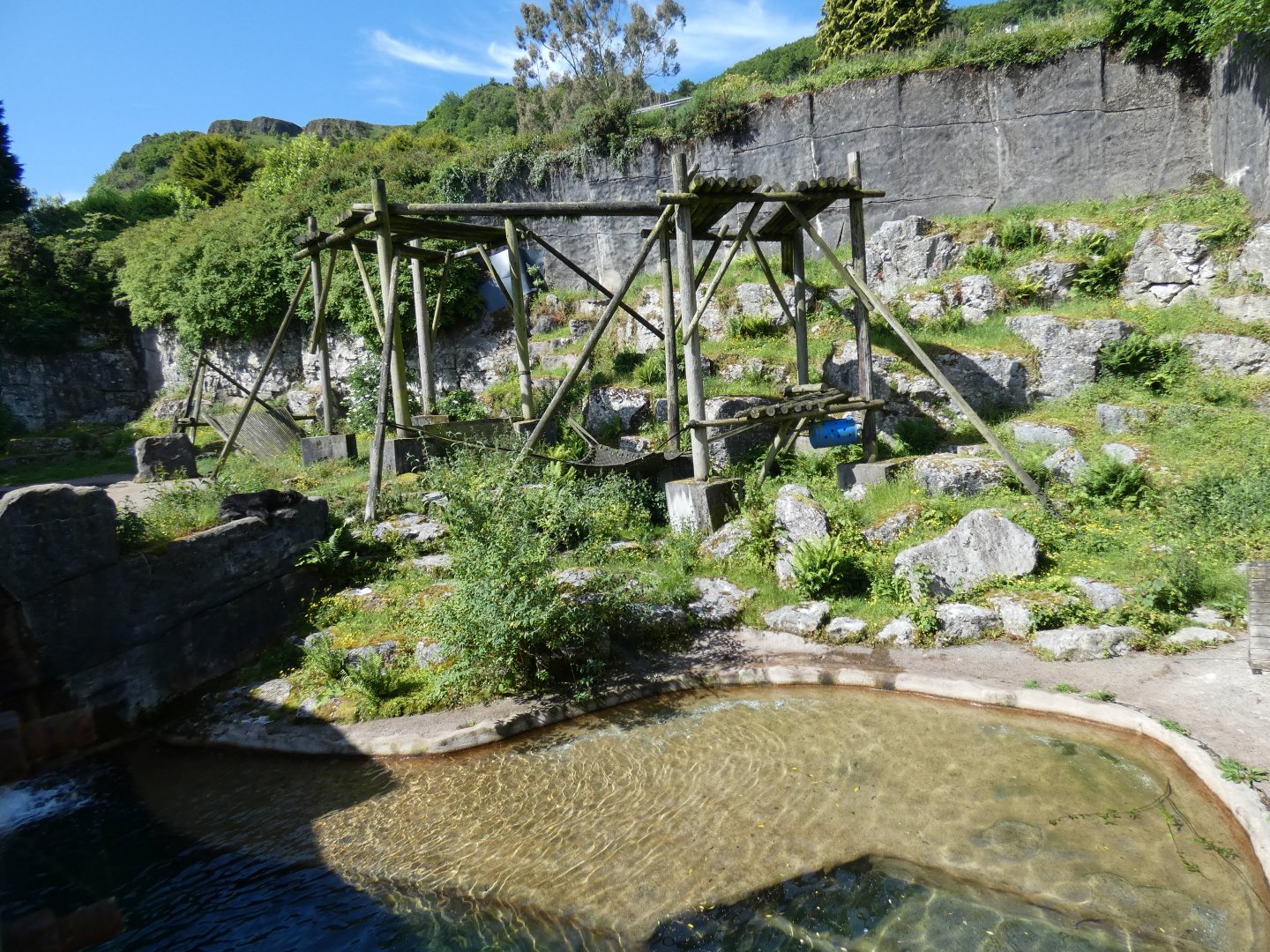 Spectacled bear enclosure