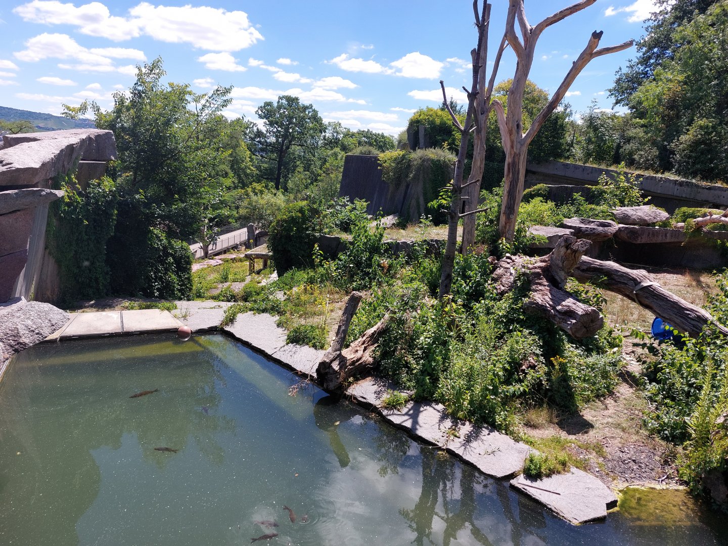 Spectacled bear enclosure