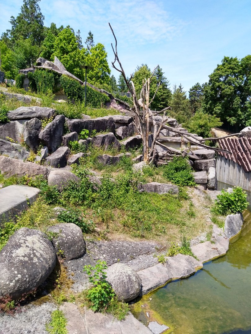 Spectacled bear enclosure