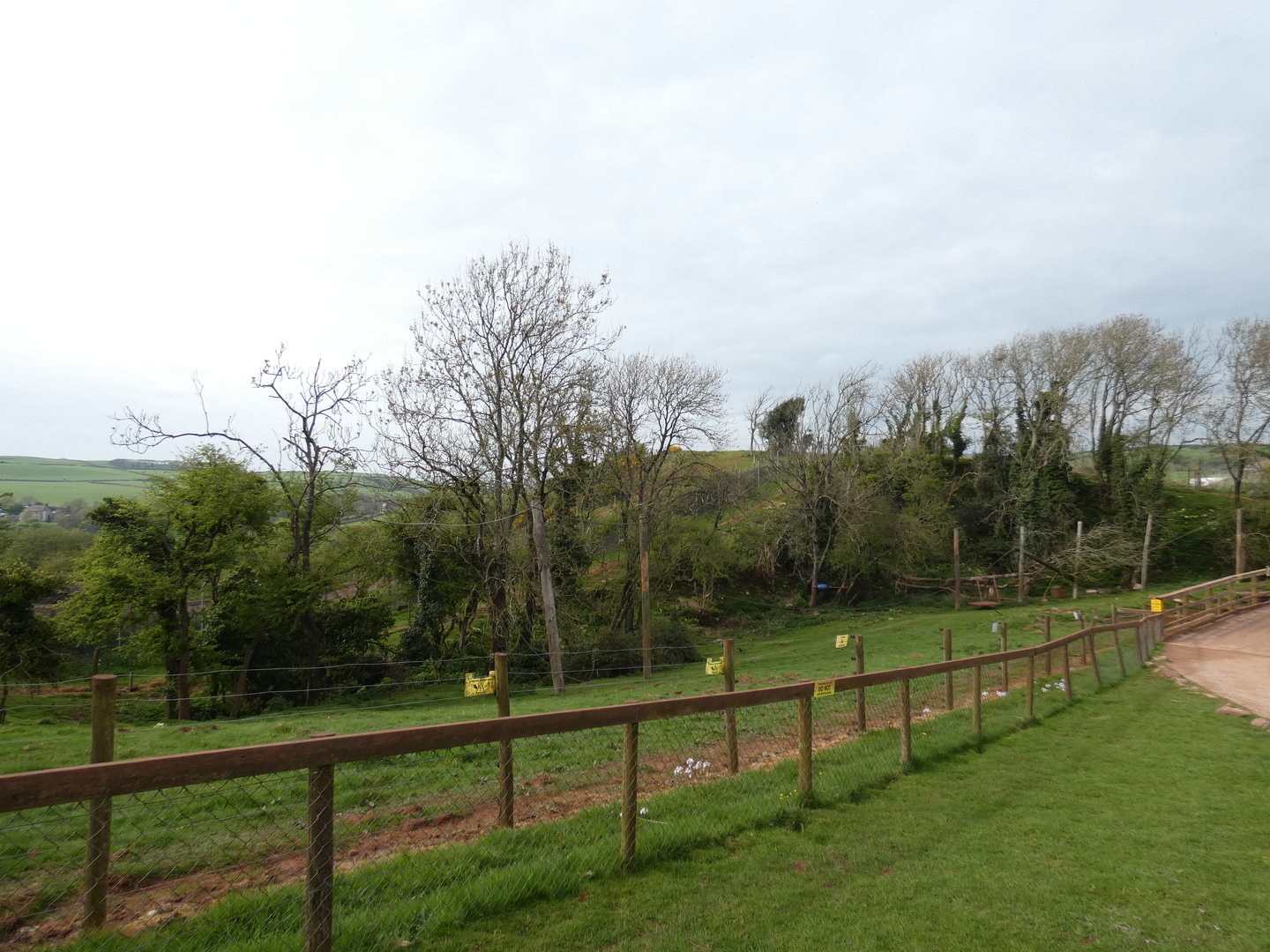 Spectacled bear enclosure