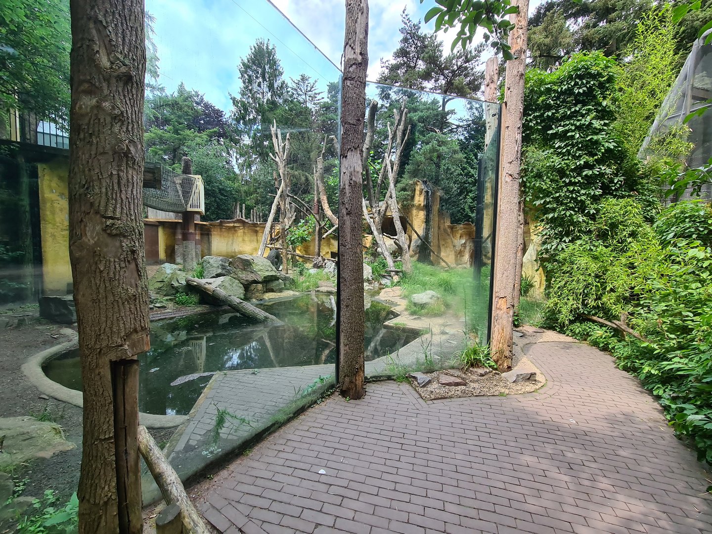 Spectacled bear enclosure