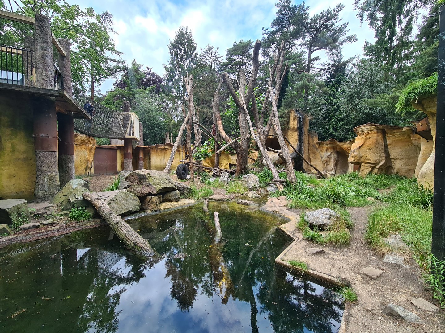 Spectacled bear enclosure