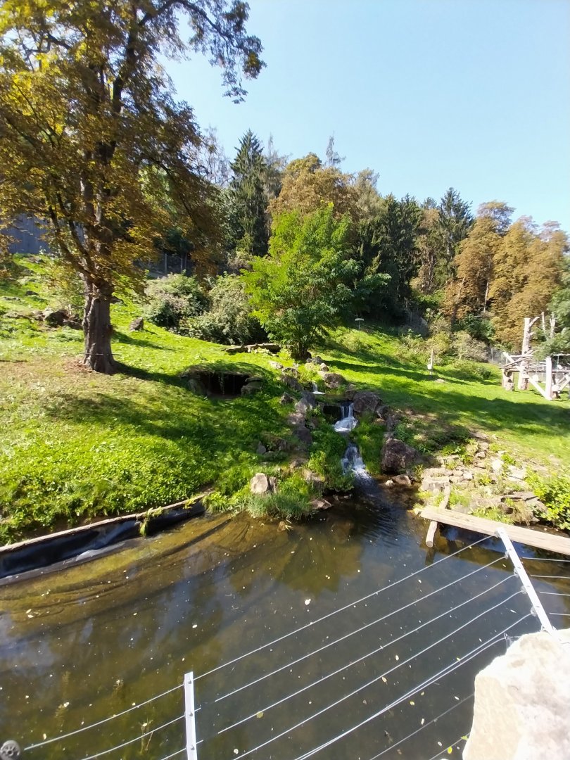 Spectacled bear enclosure