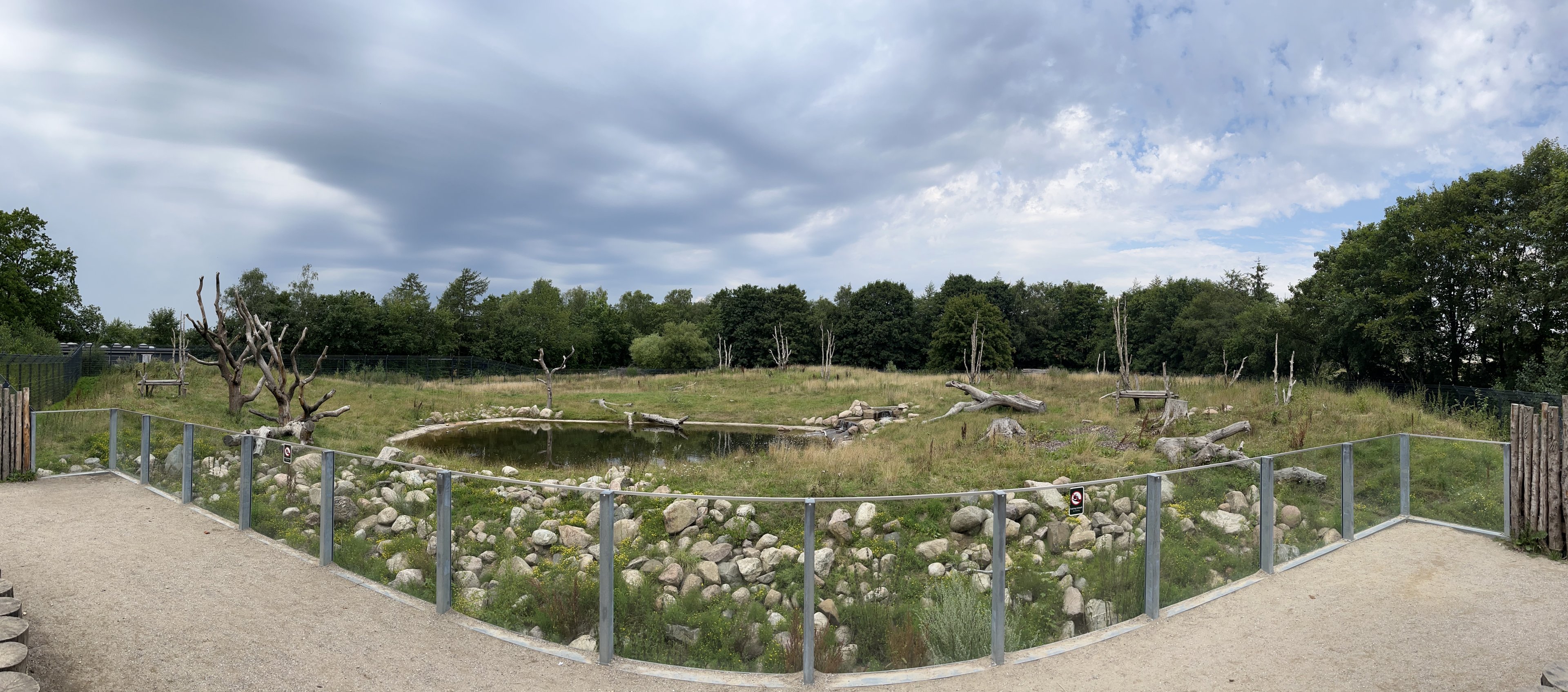 Spectacled Bear Exhibit #1