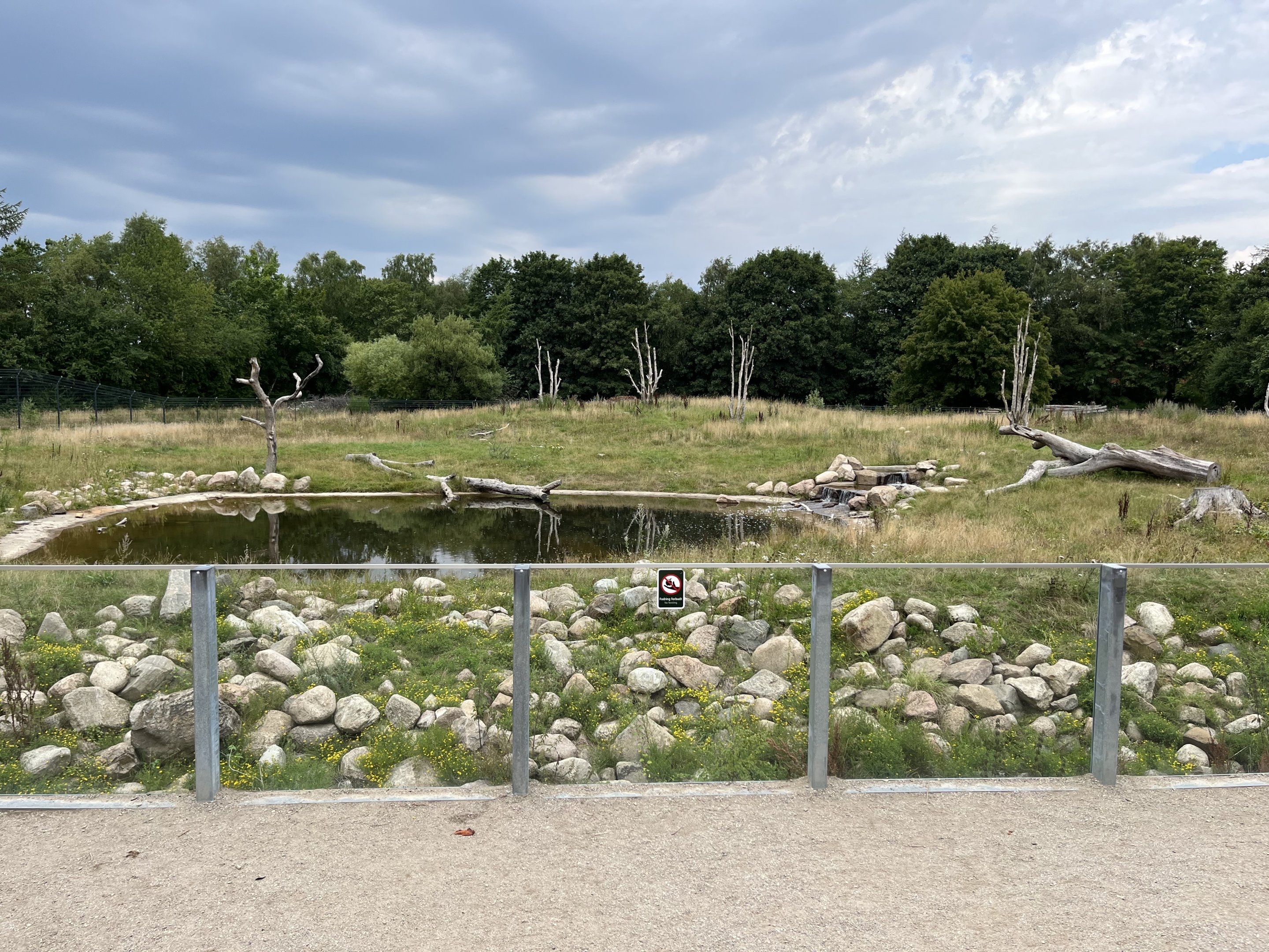 Spectacled Bear Exhibit #1