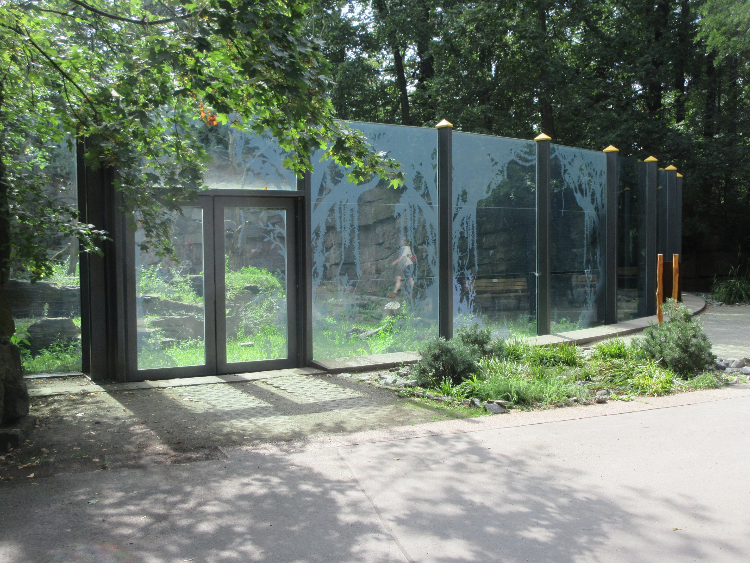 Spectacled Bear Exhibit #2