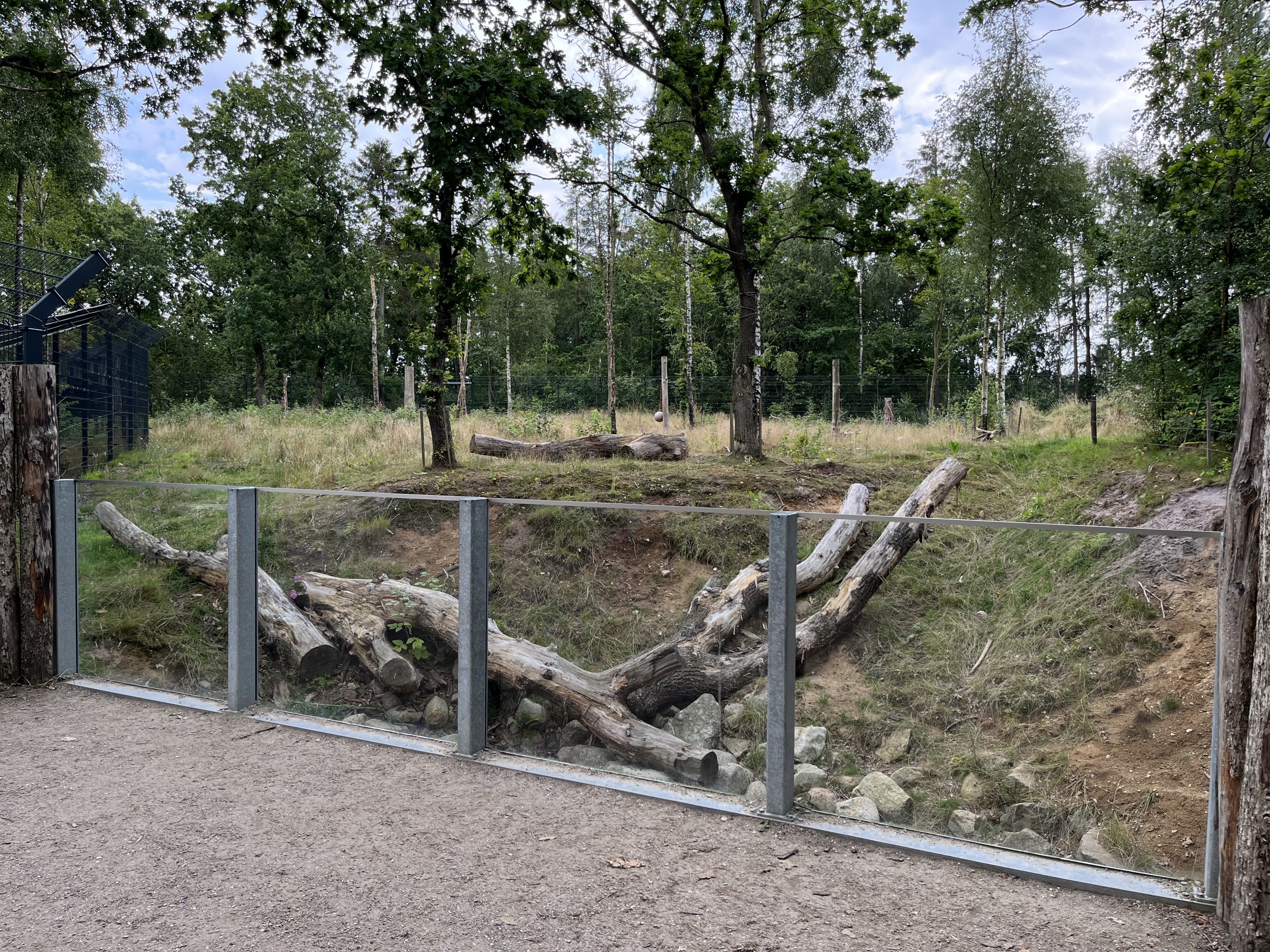 Spectacled Bear Exhibit #2