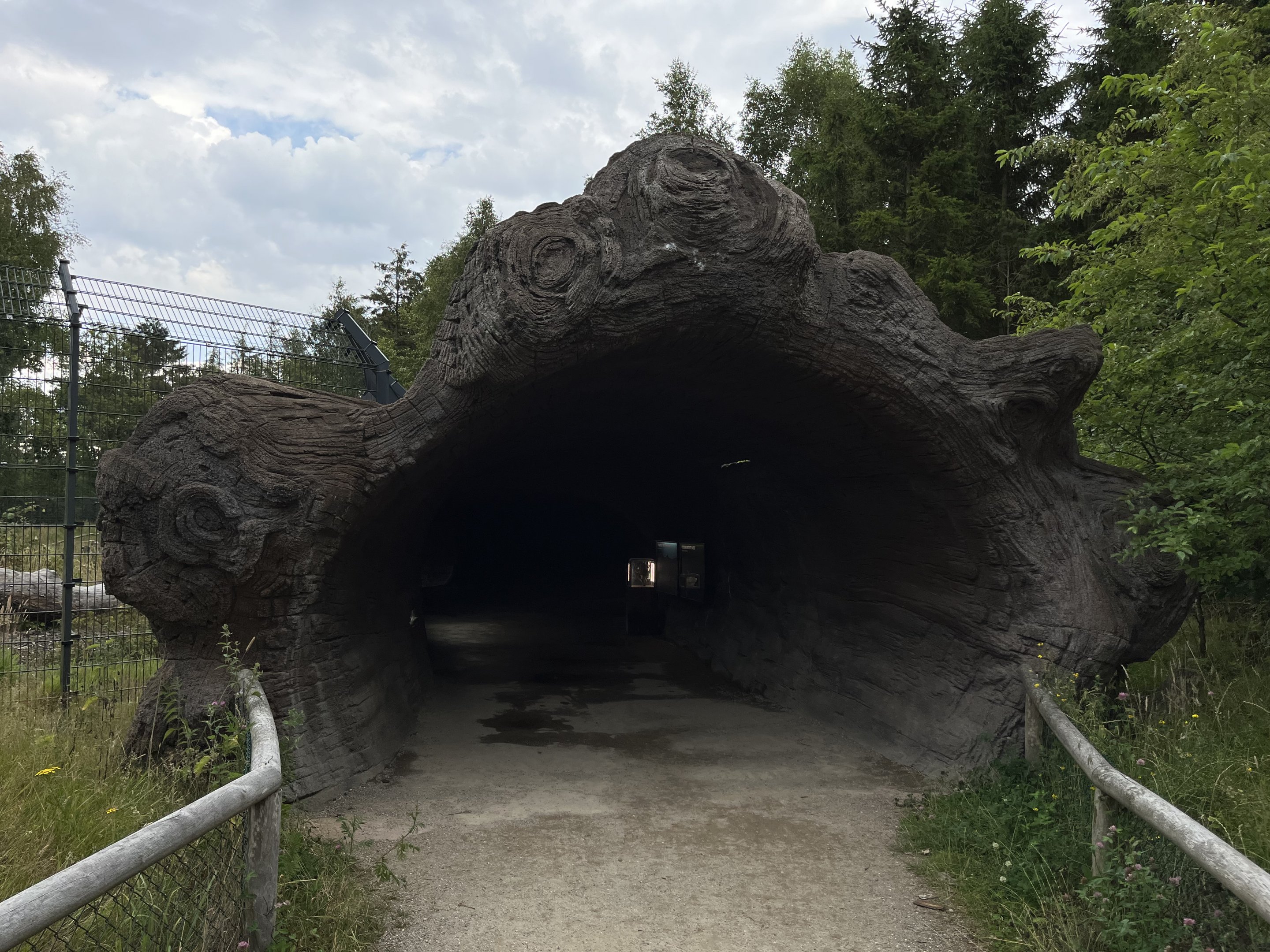 Spectacled Bear Exhibit #2
