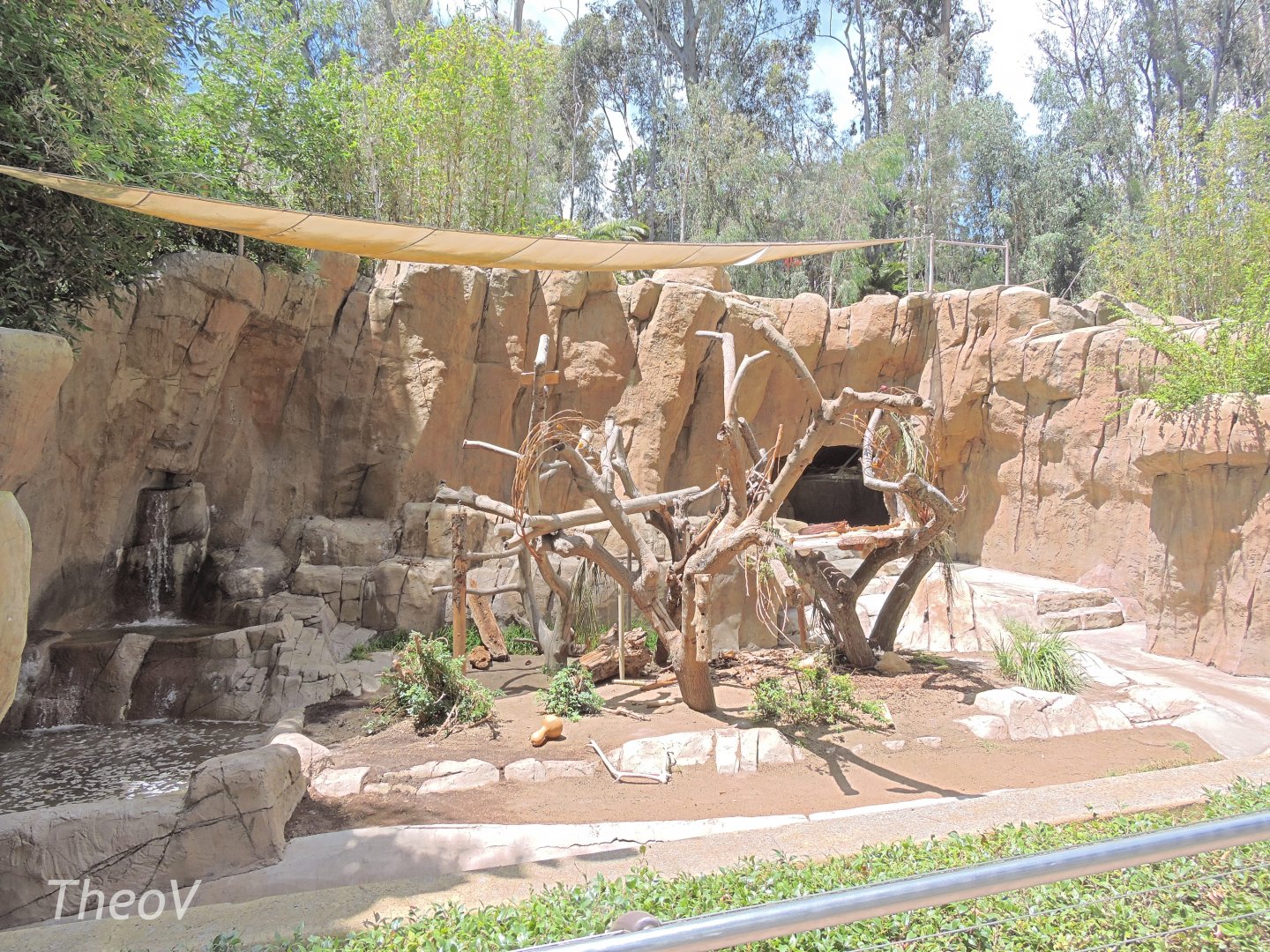 Spectacled bear exhibit [2015]