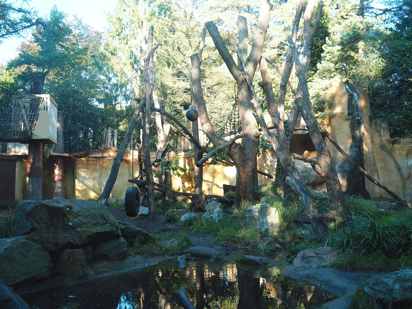 Spectacled bear exhibit, 2023-09-24