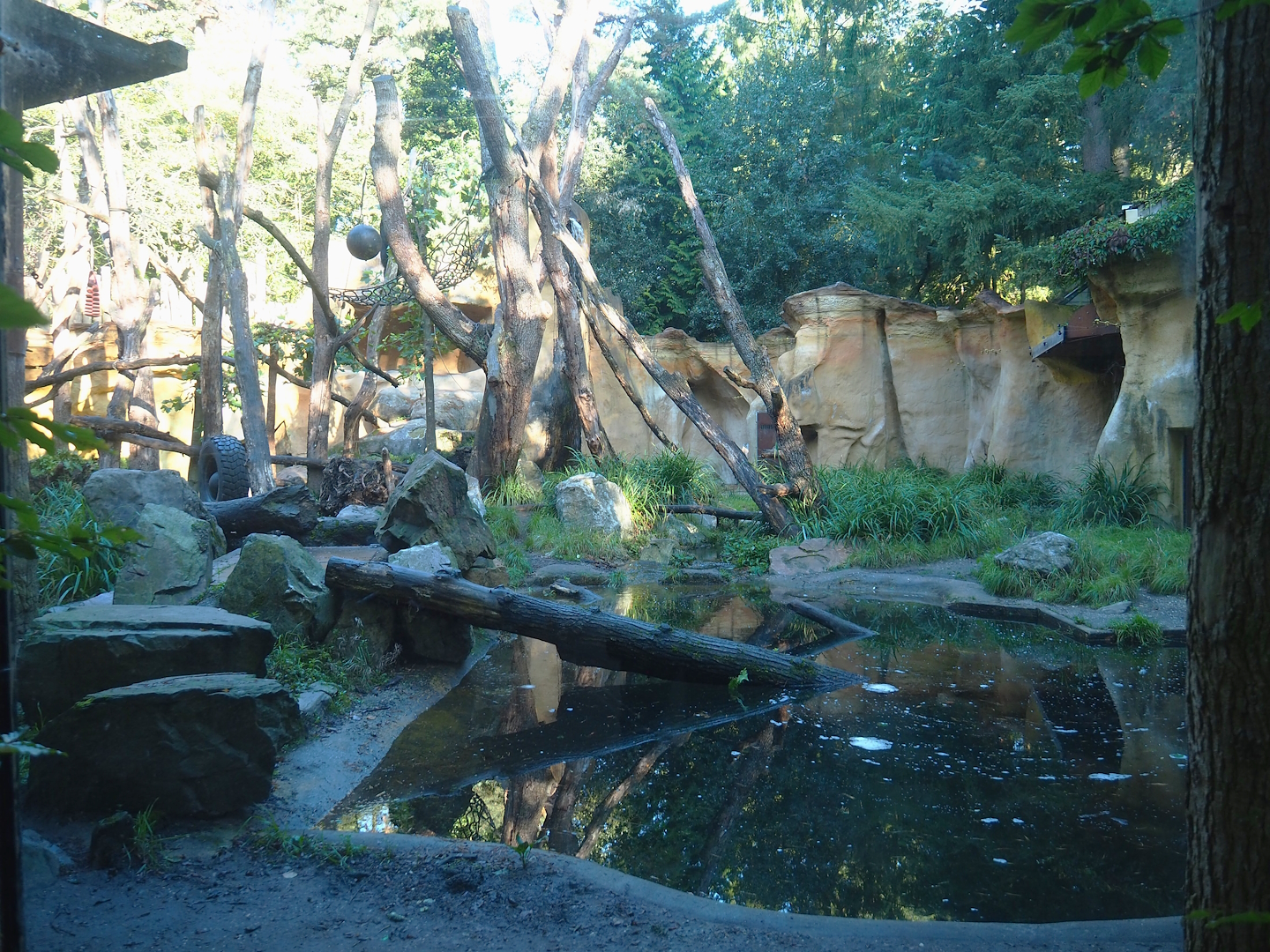 Spectacled bear exhibit, 2023-09-24