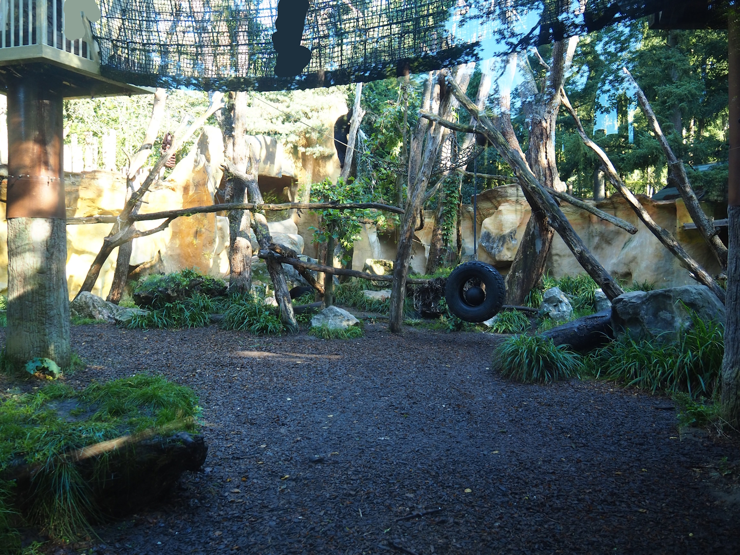 Spectacled bear exhibit, 2023-09-24