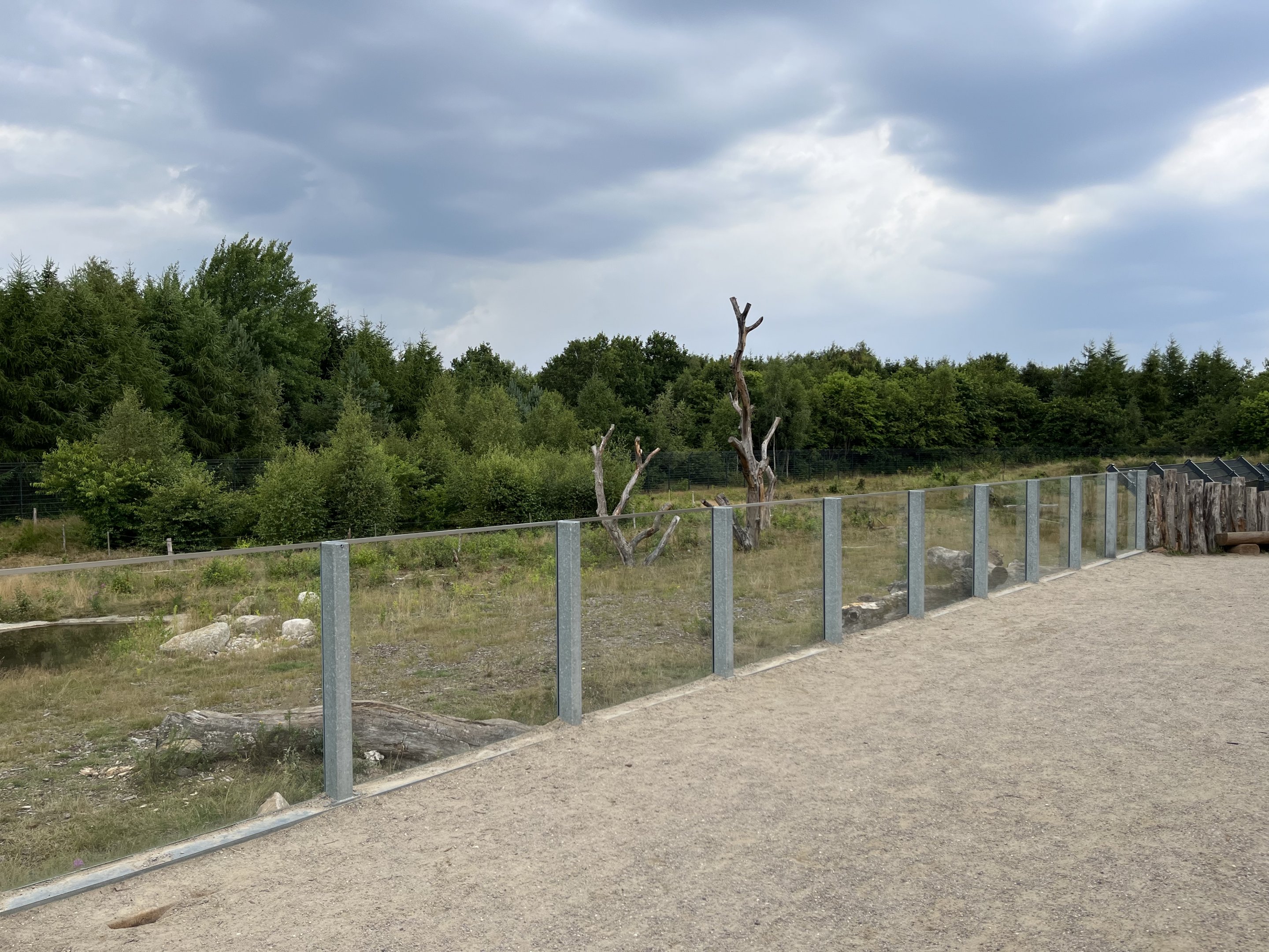 Spectacled Bear Exhibit #3
