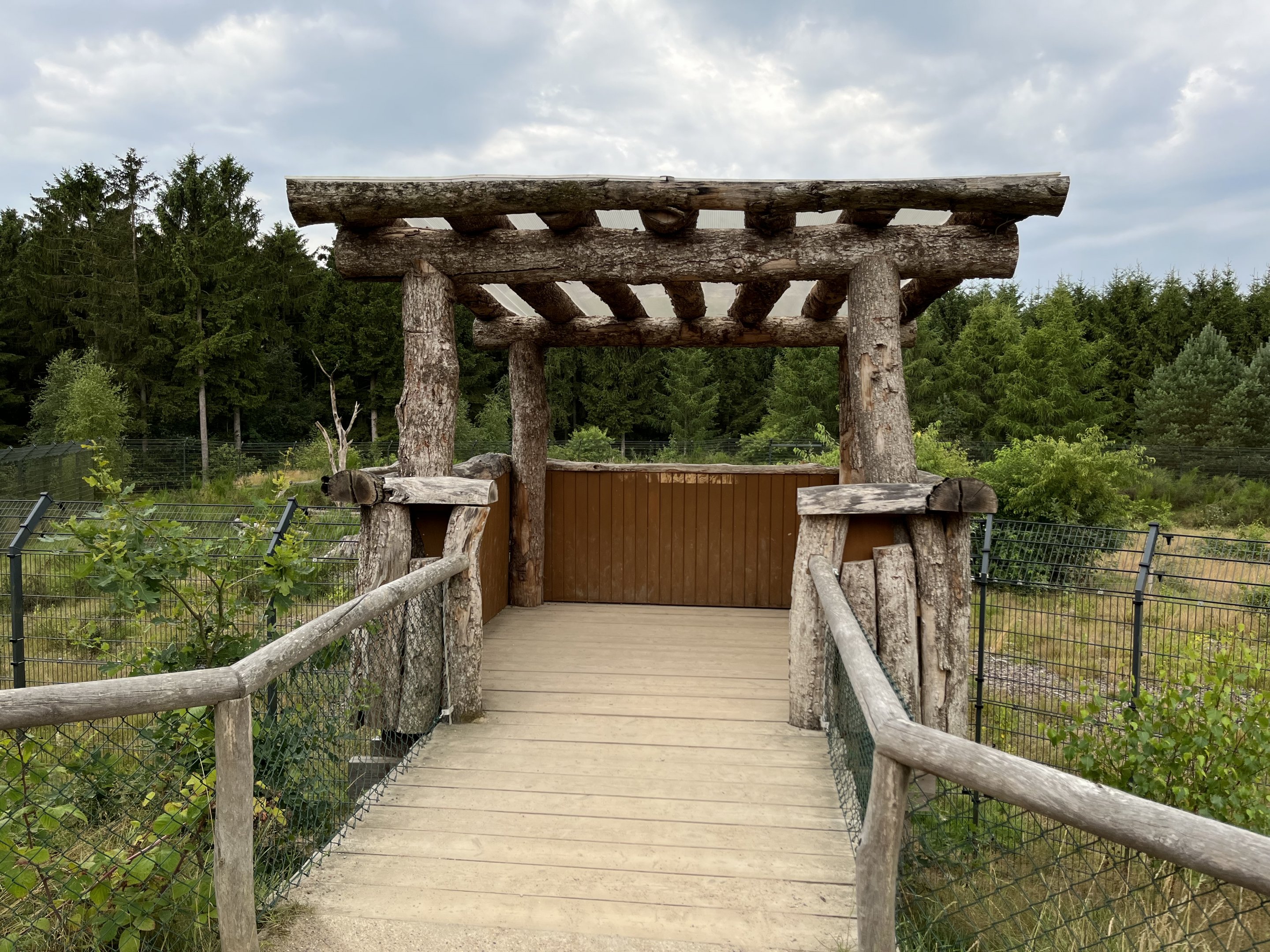 Spectacled Bear Exhibit #3