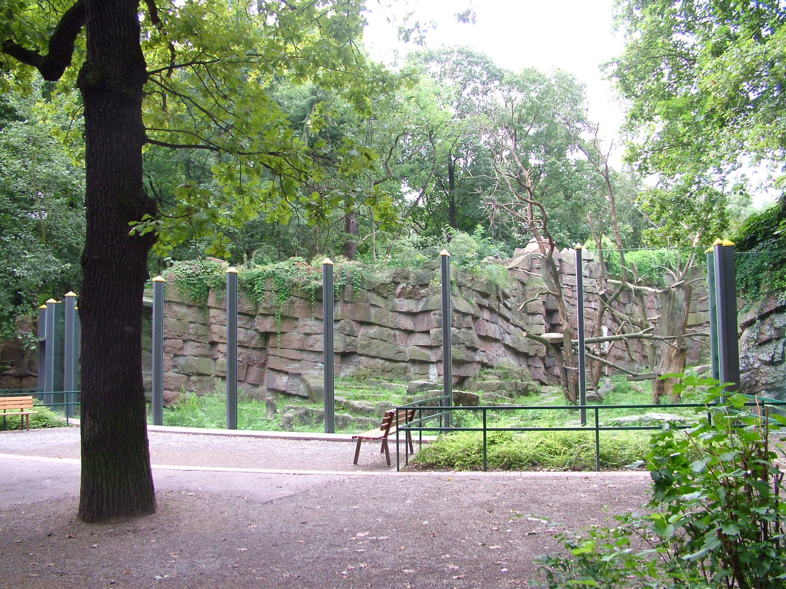 Spectacled Bear Exhibit at Tierpark Berlin 30/08/11