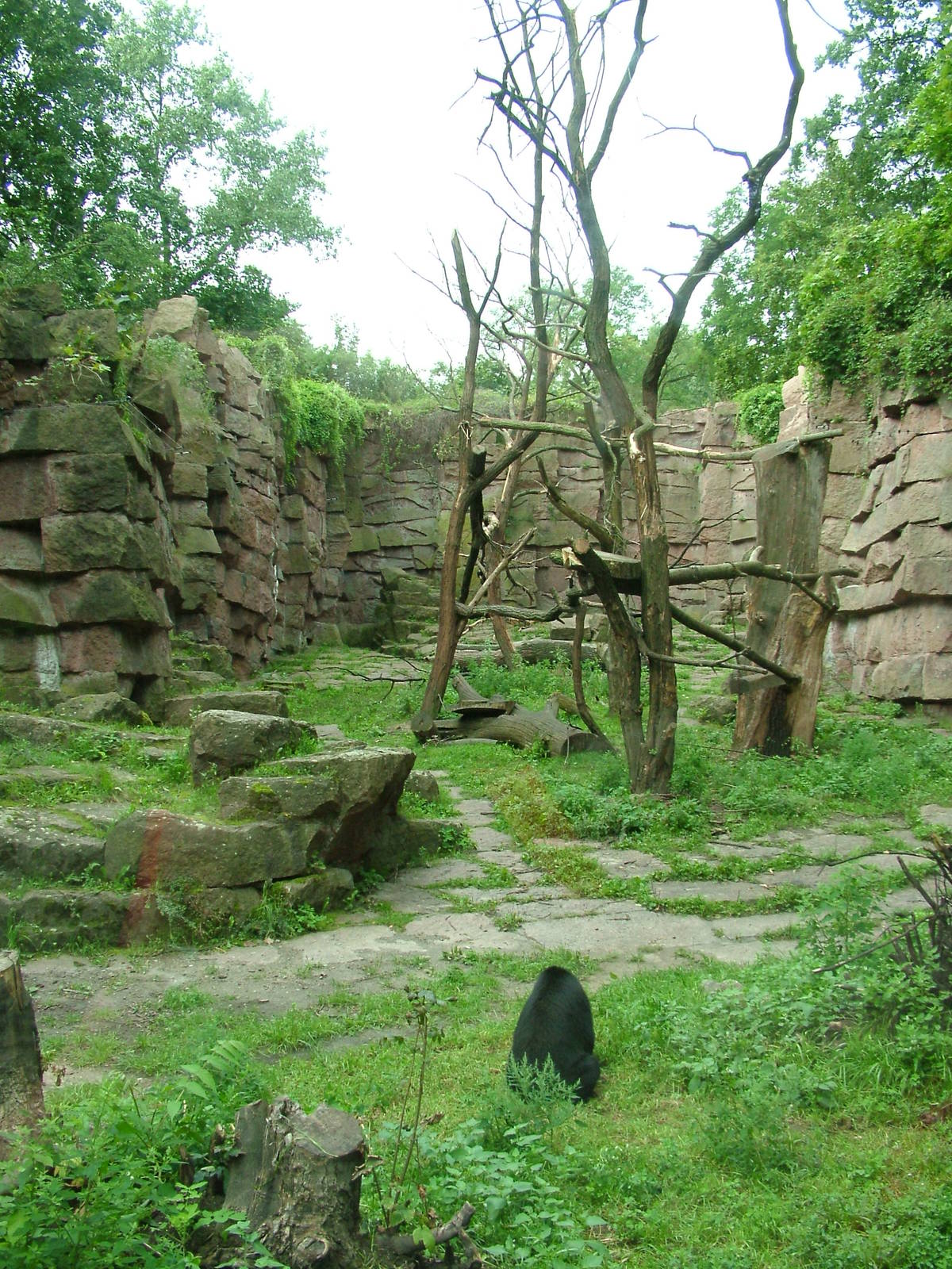 Spectacled Bear Exhibit at Tierpark Berlin 30/08/11
