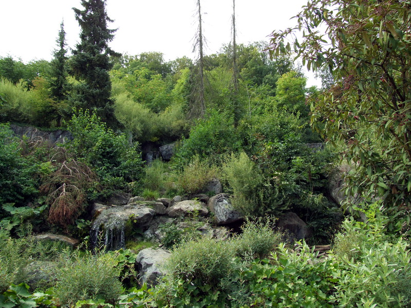 Spectacled Bear exhibit - August '09