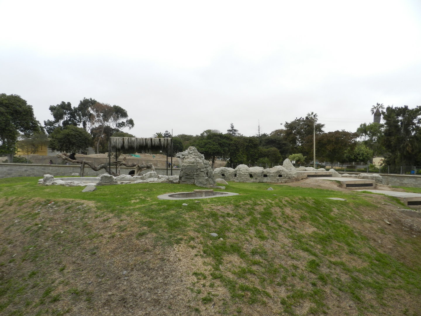 Spectacled bear exhibit I - Parque de Las Leyendas