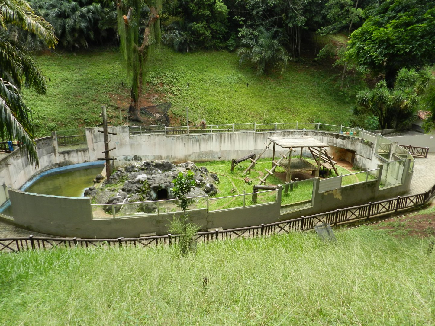 Spectacled bear exhibit - Salvador zoo (PZGV)