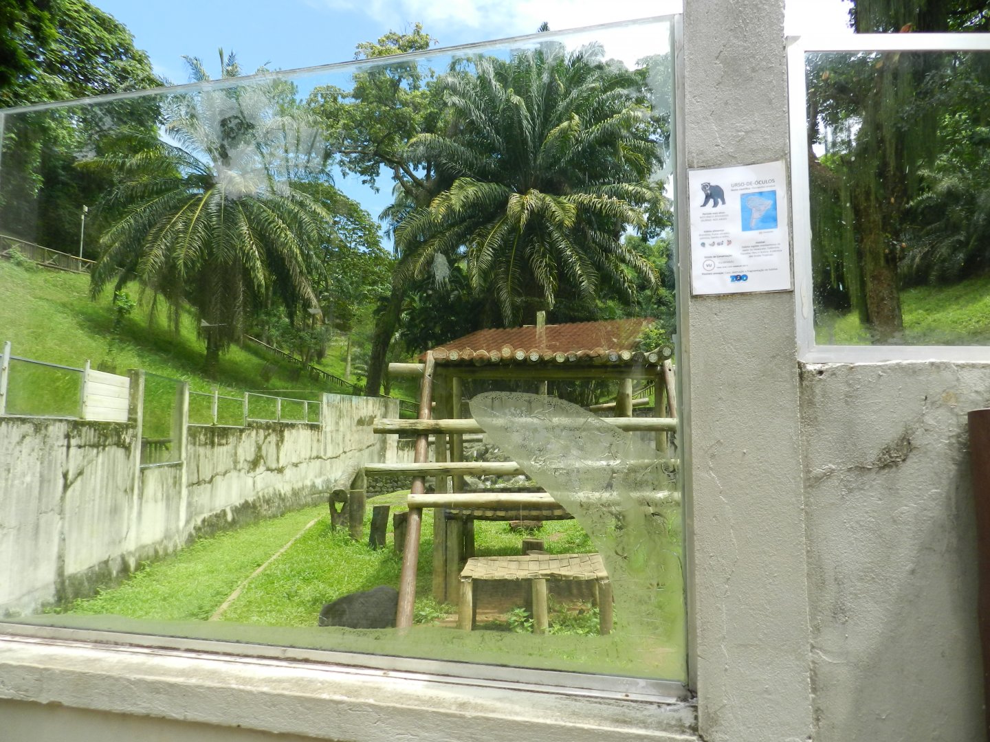 Spectacled bear exhibit - Salvador zoo (PZGV)