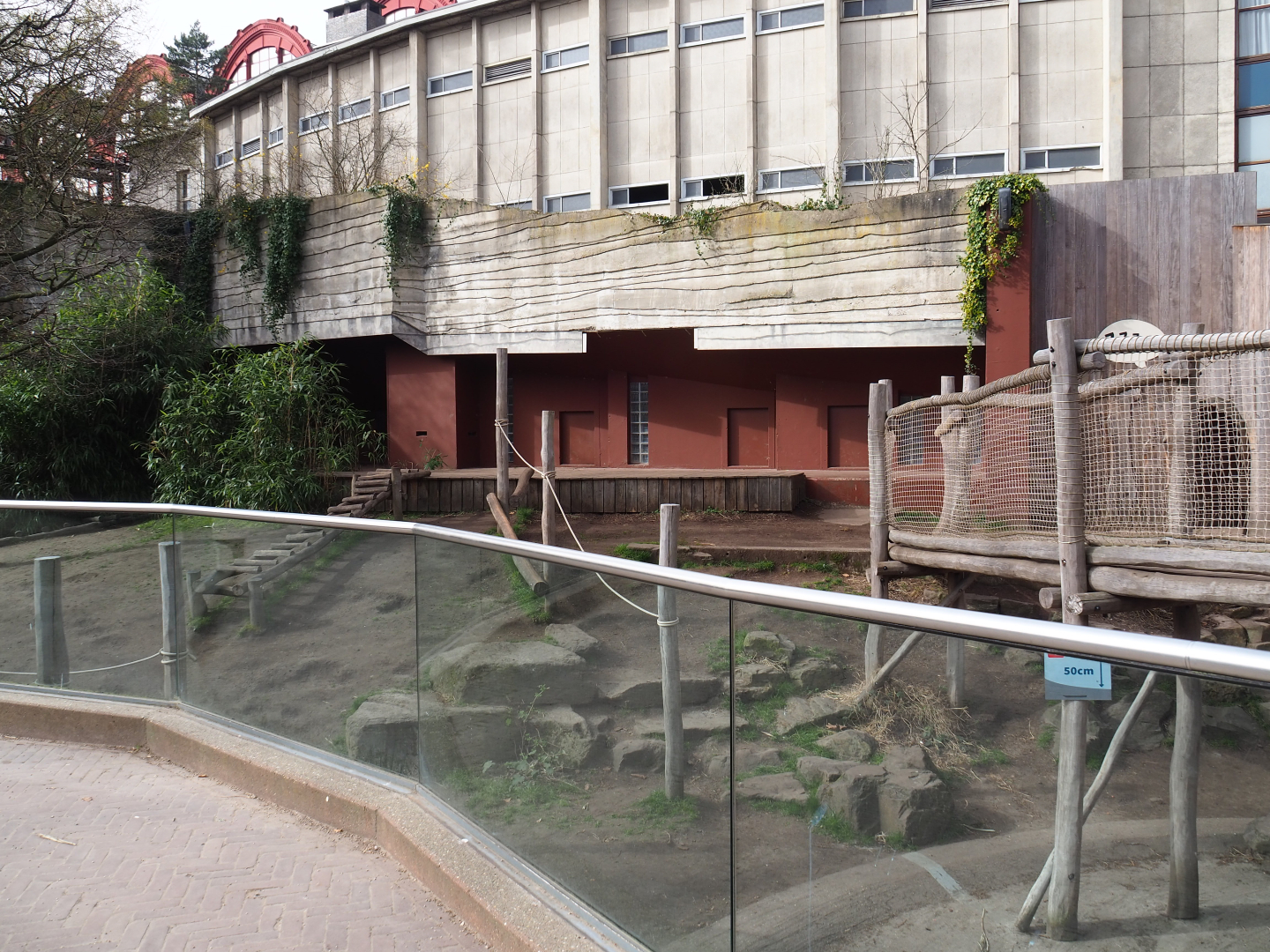 Spectacled bear exhibit temporarily serving as a playground area during renovations, 2022-03-16
