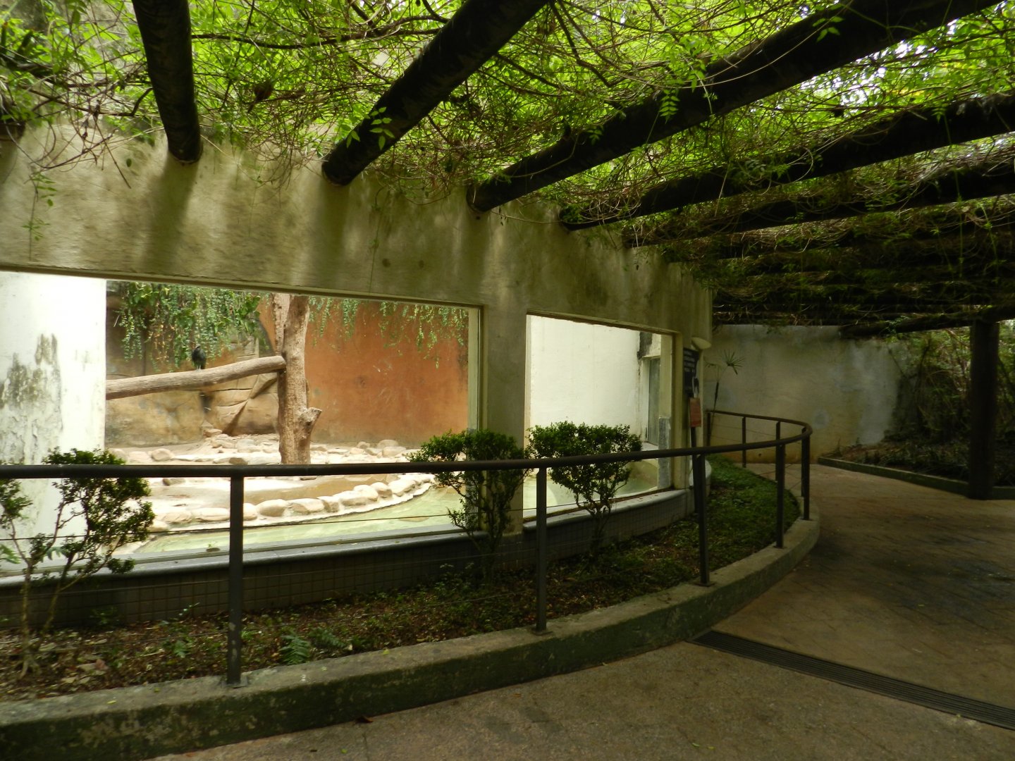 Spectacled bear exhibit viewing area - Sorocaba zoo (PZMQB)