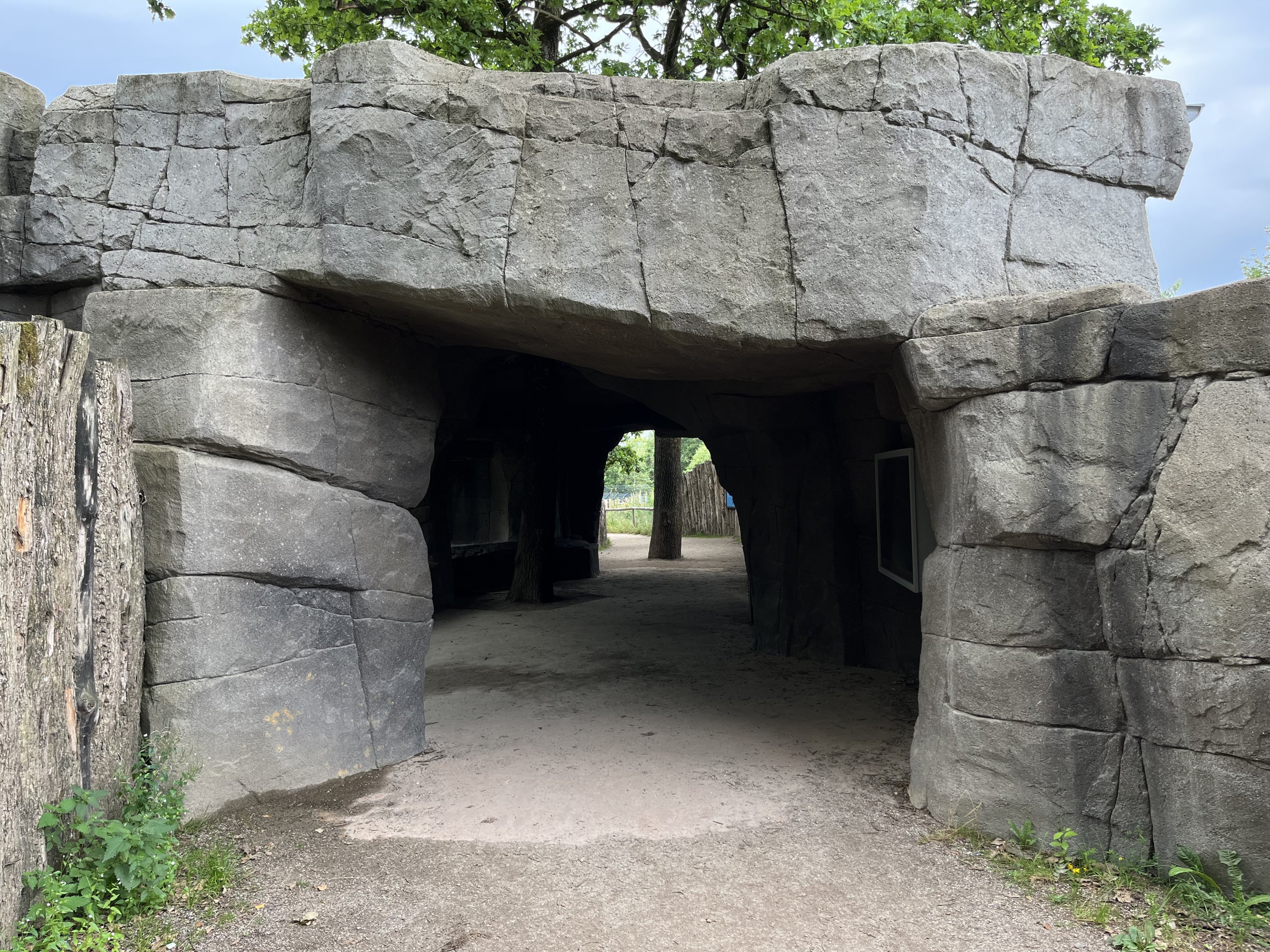 Spectacled Bear Exhibit Viewing Cave