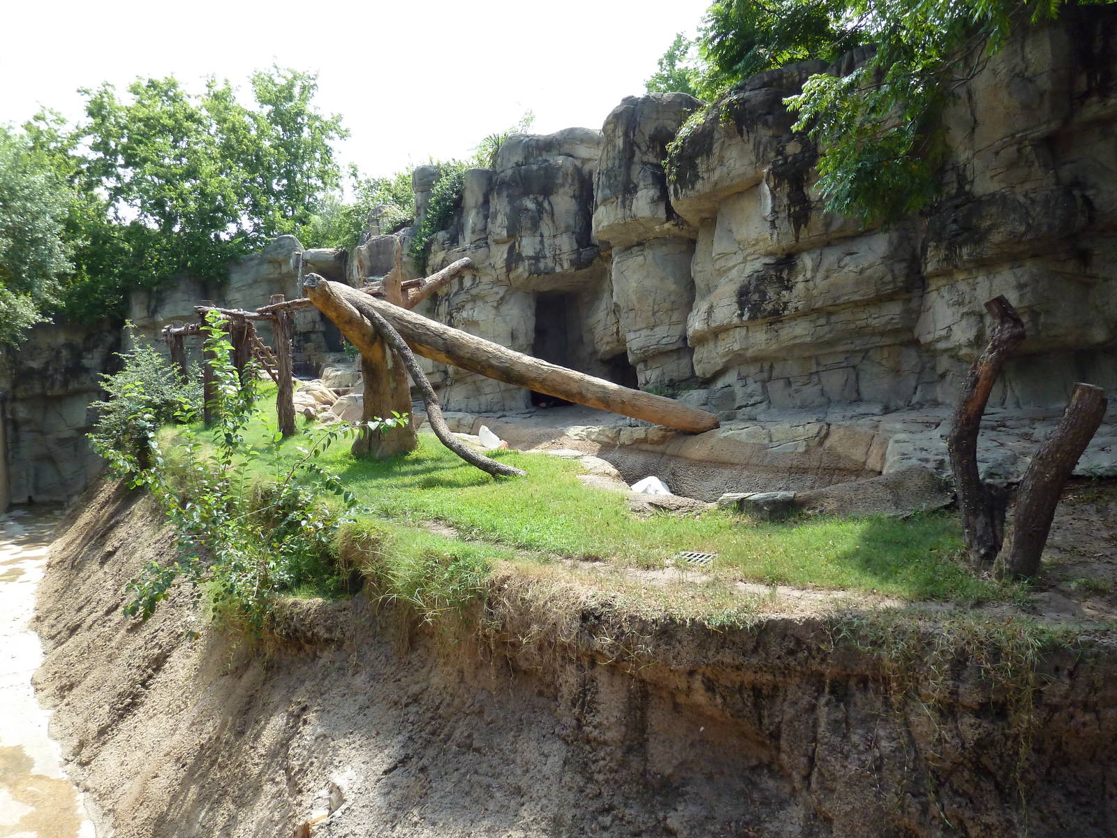 Spectacled Bear Exhibit