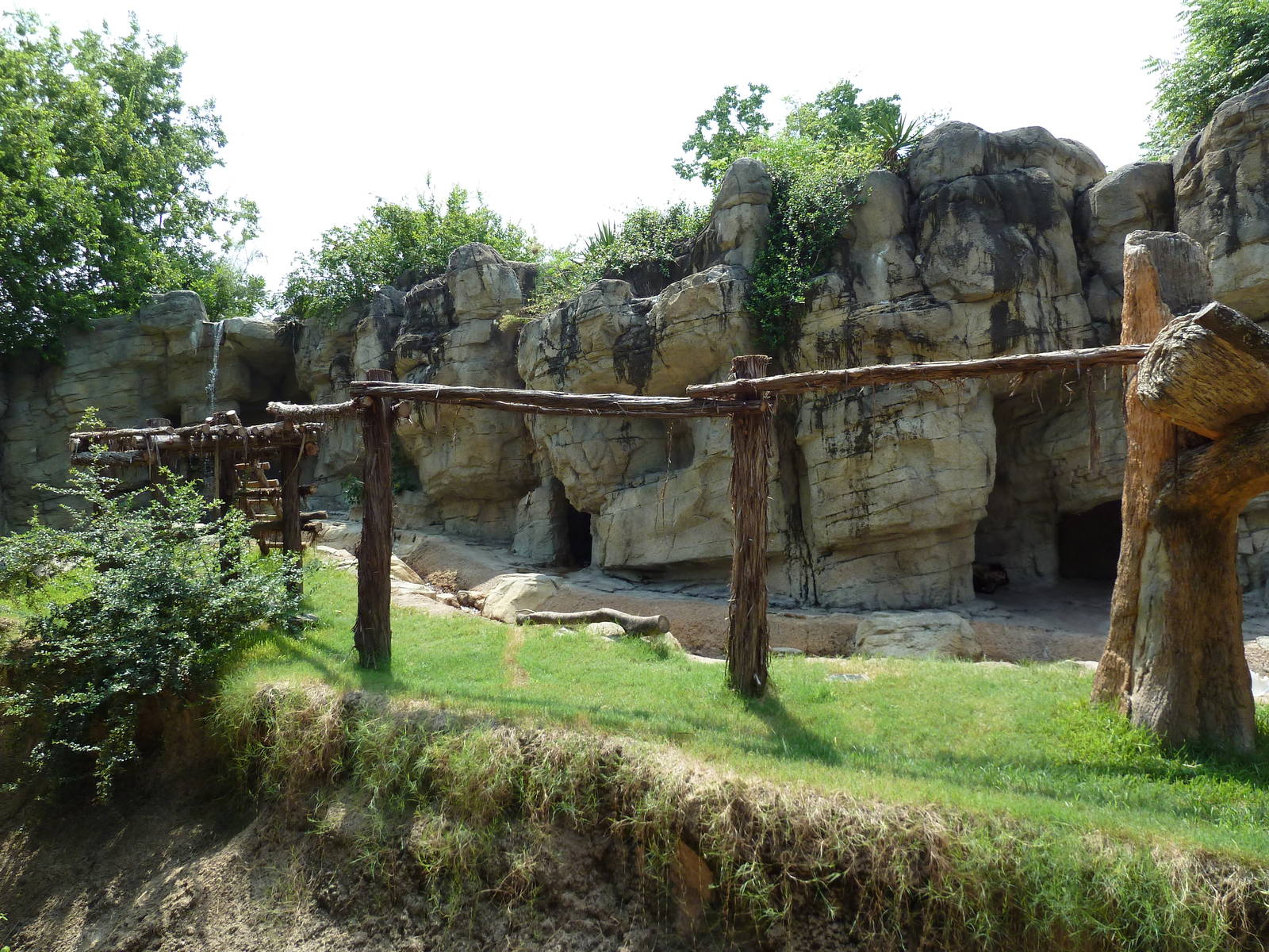 Spectacled Bear Exhibit