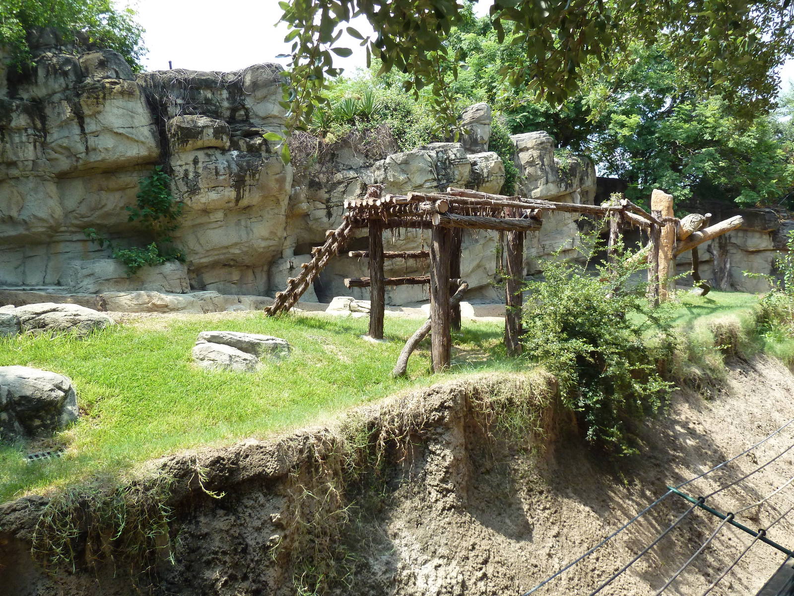 Spectacled Bear Exhibit