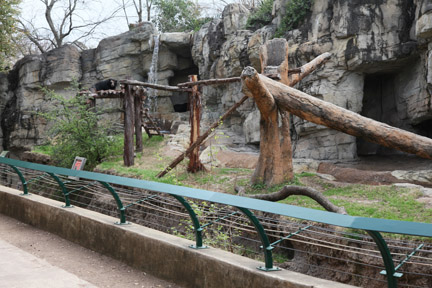 spectacled bear exhibit