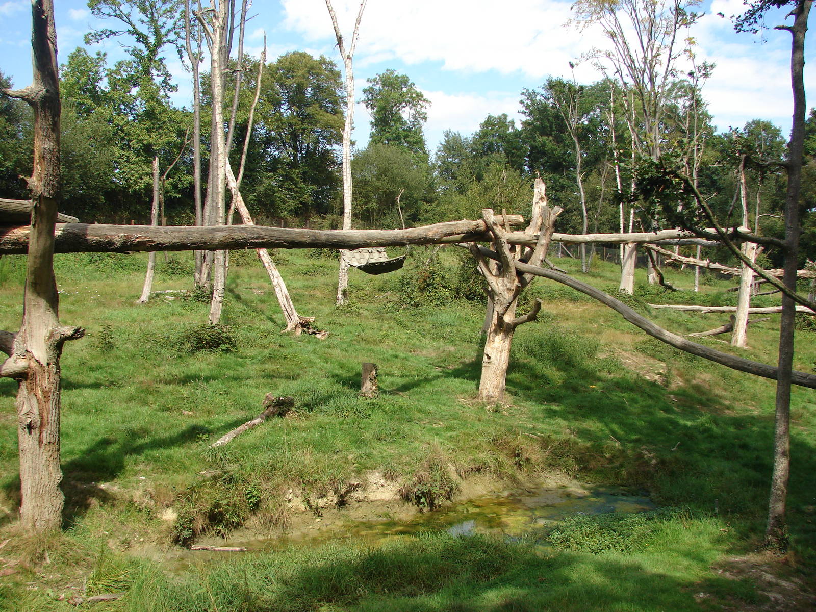 Spectacled bear exhibit