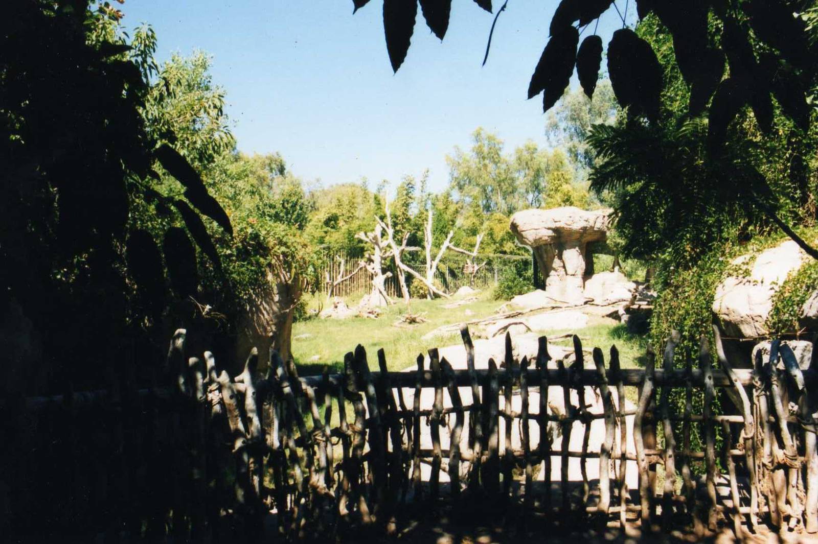 Spectacled Bear Exhibit