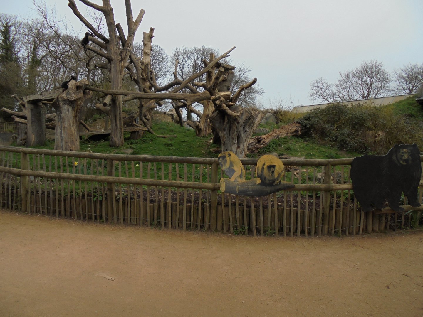 Spectacled bear exhibit