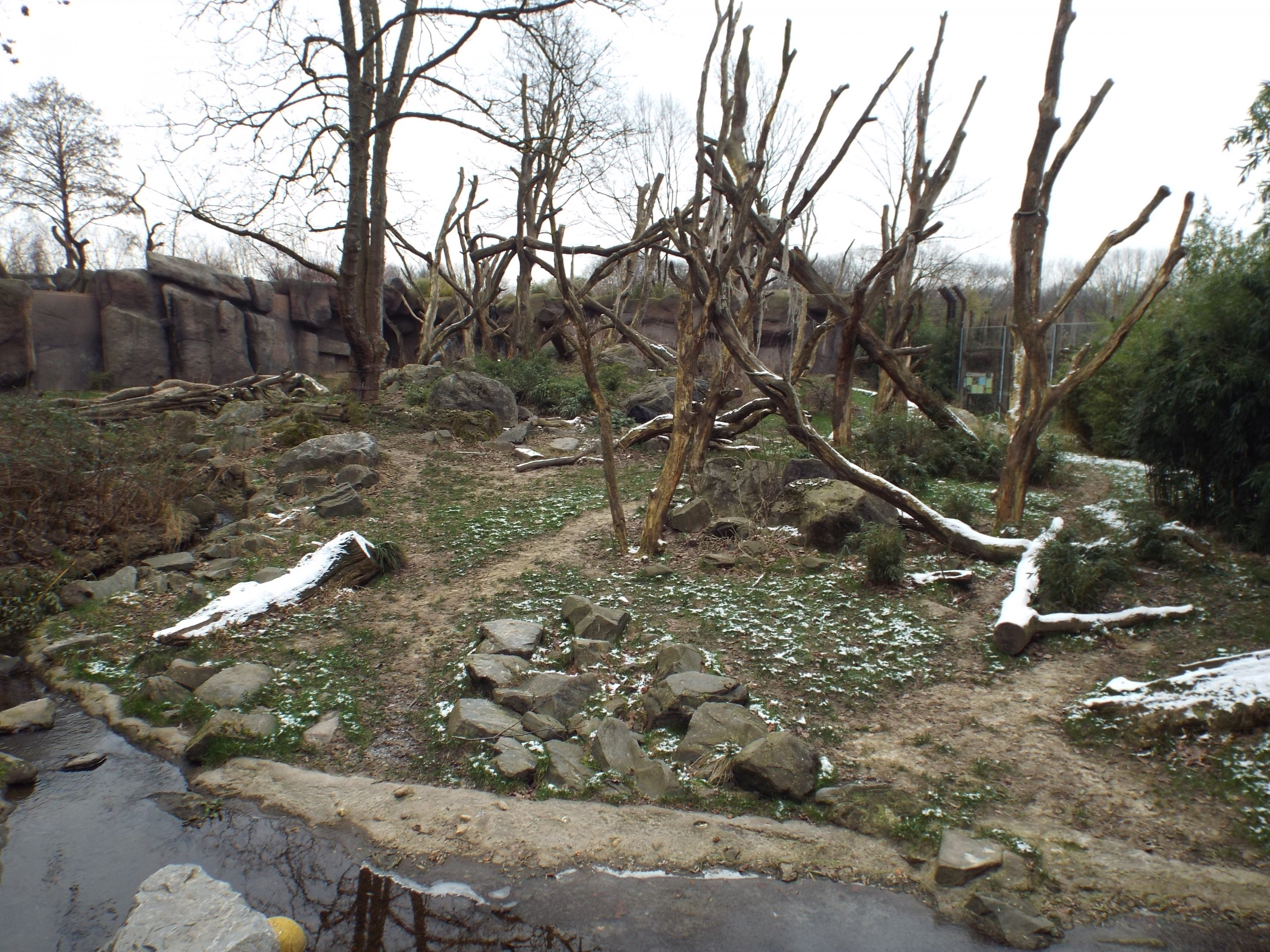 Spectacled Bear exhibit