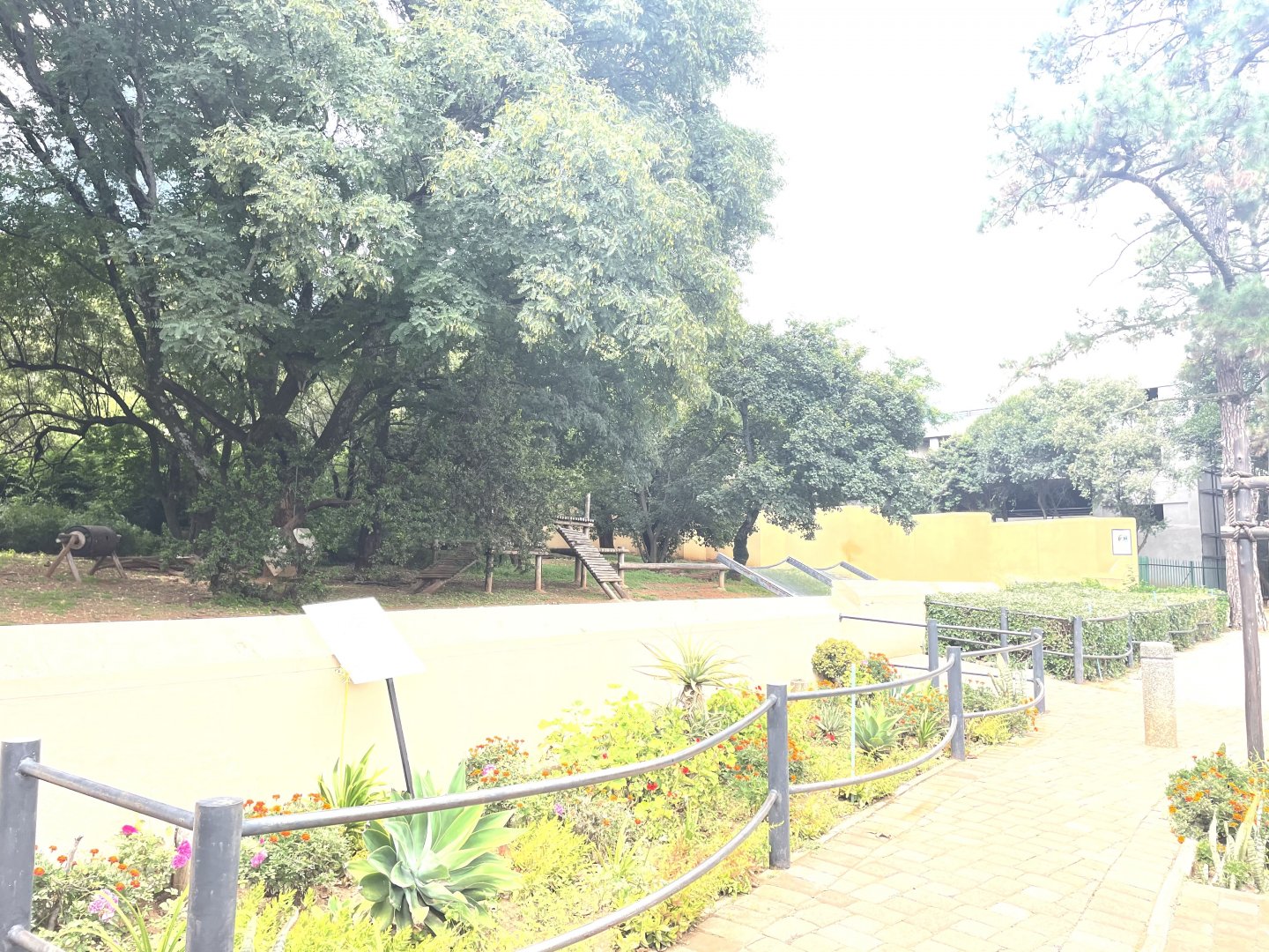 Spectacled Bear Exhibit